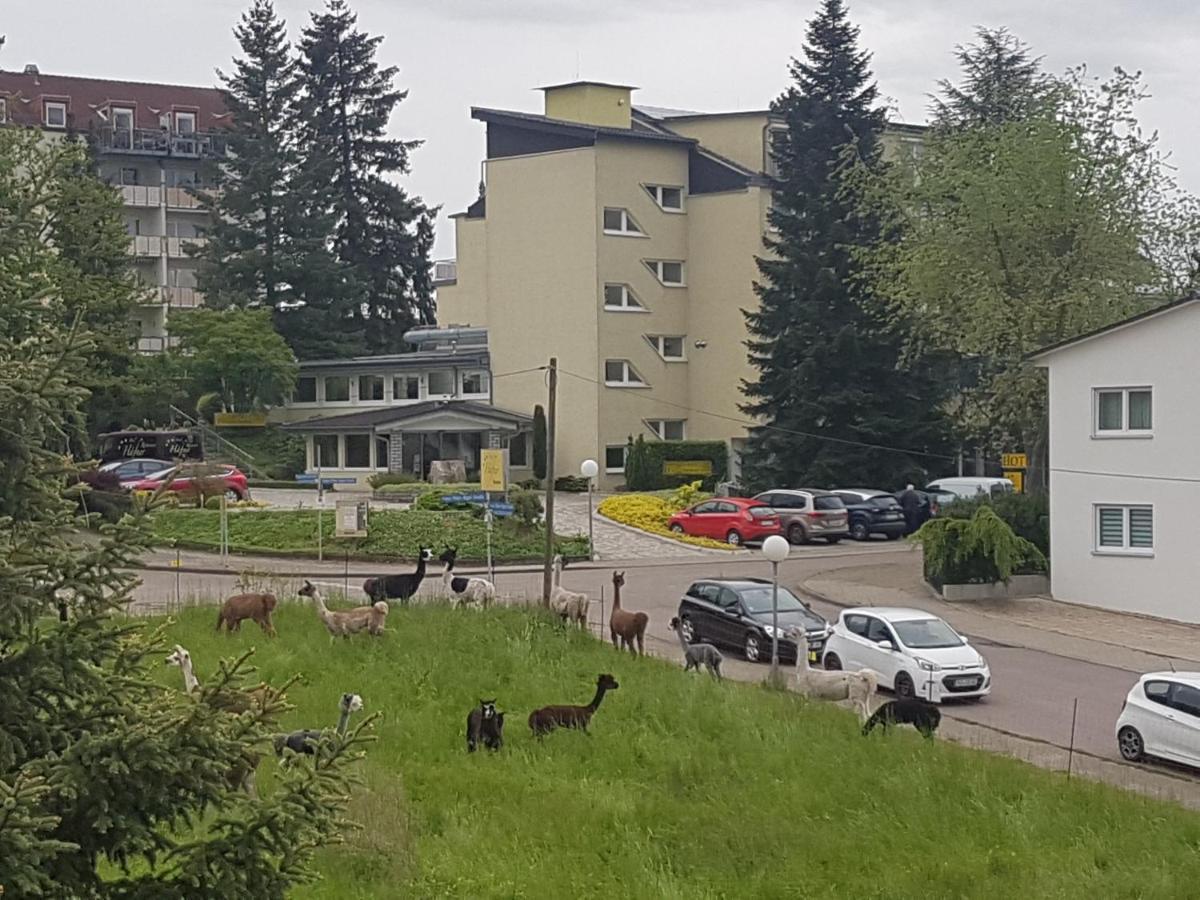 Hotel Haefner Bad Schonborn Exterior photo